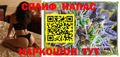 стаф Будённовск