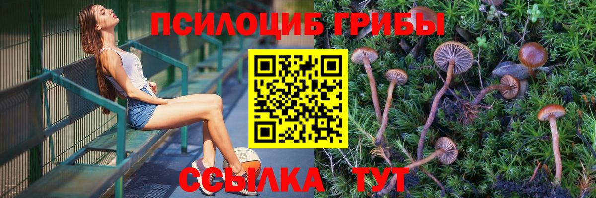 Отрадный  Галлюциногенные грибы ЛСД  Вход с VPN 