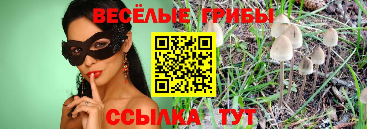 Псилоцибиновые грибы ЛСД Отрадный